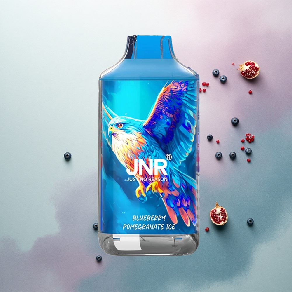 JNR Falcon 16000 Blueberry Pomegranate Ice with 22ml E-liquid & 850mAh Battery
