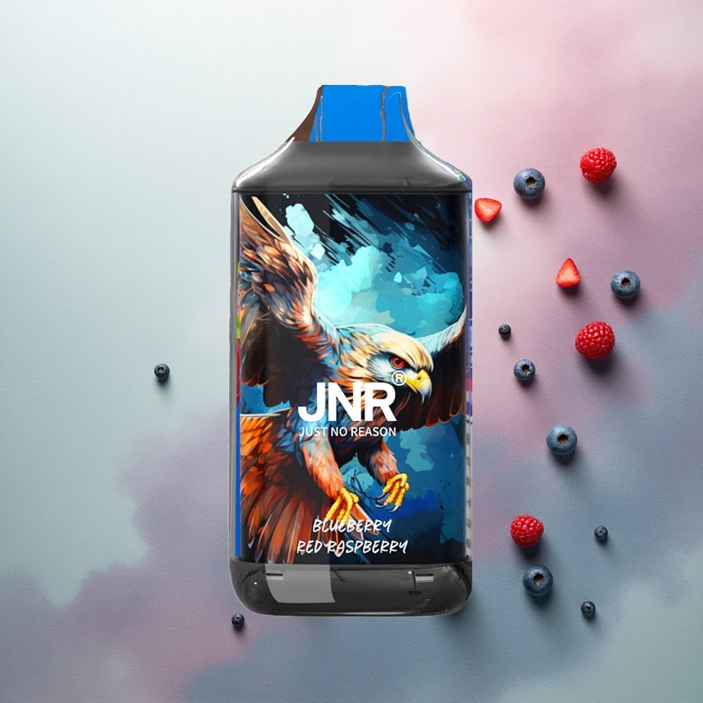 JNR Falcon 16000 Blueberry Red Raspberry Dual Mesh 22ml 850mAh 0% Nicotine