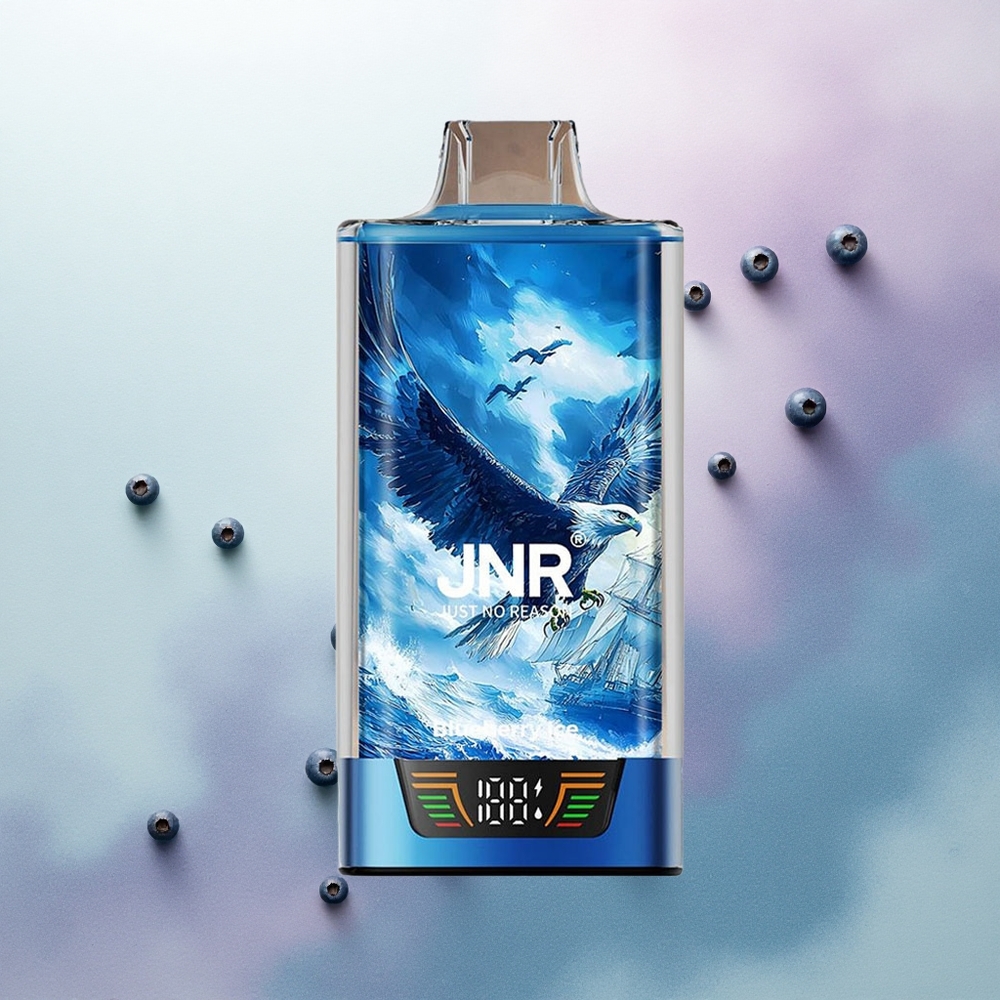 JNR Falcon Pro 28000 Blueberry Ice 30ml 950mAh 5% Nicotine