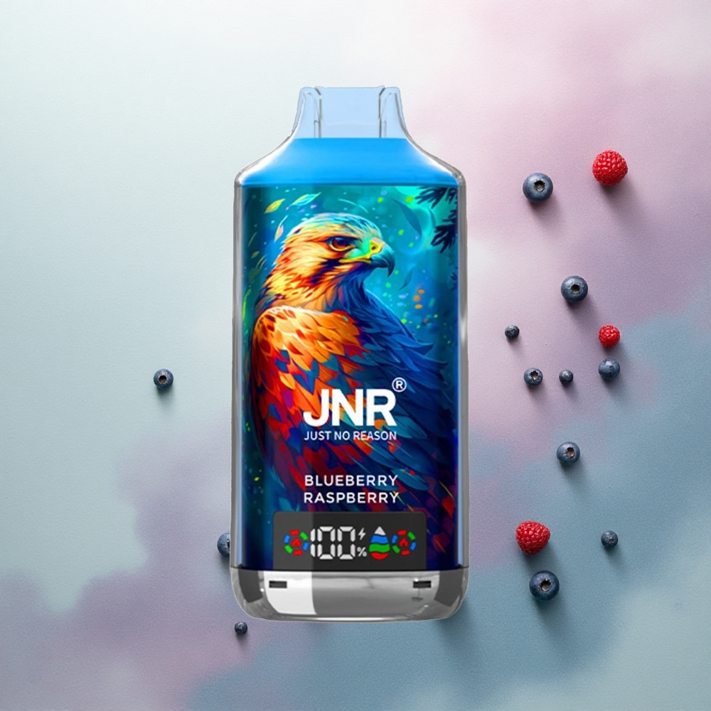 JNR Falcon X 18000 Blueberry Raspberry Dual Mesh 750mAh 5% Nicotine