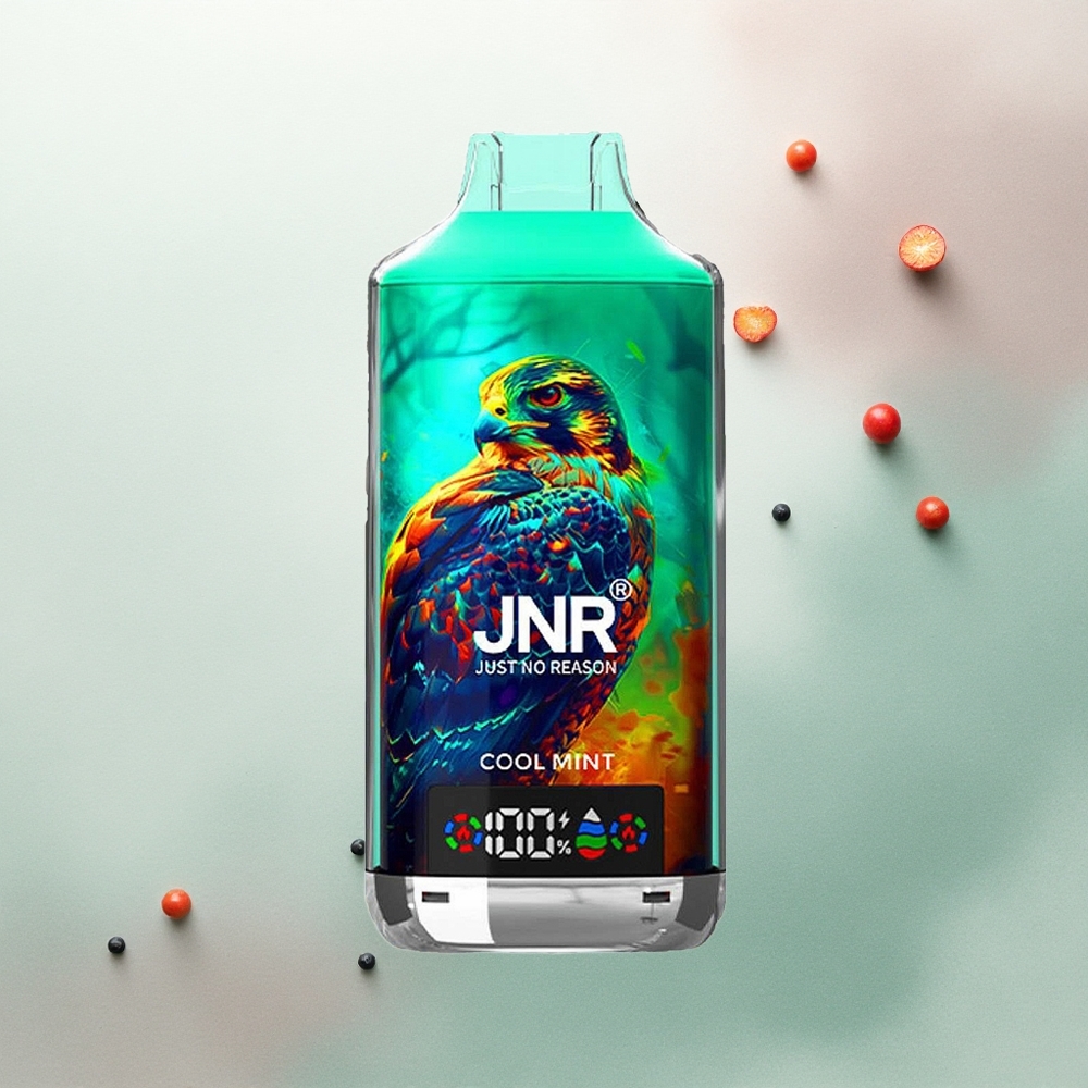 JNR Falcon X 18000 Cool Mint 750mAh Dual Mesh 24ml