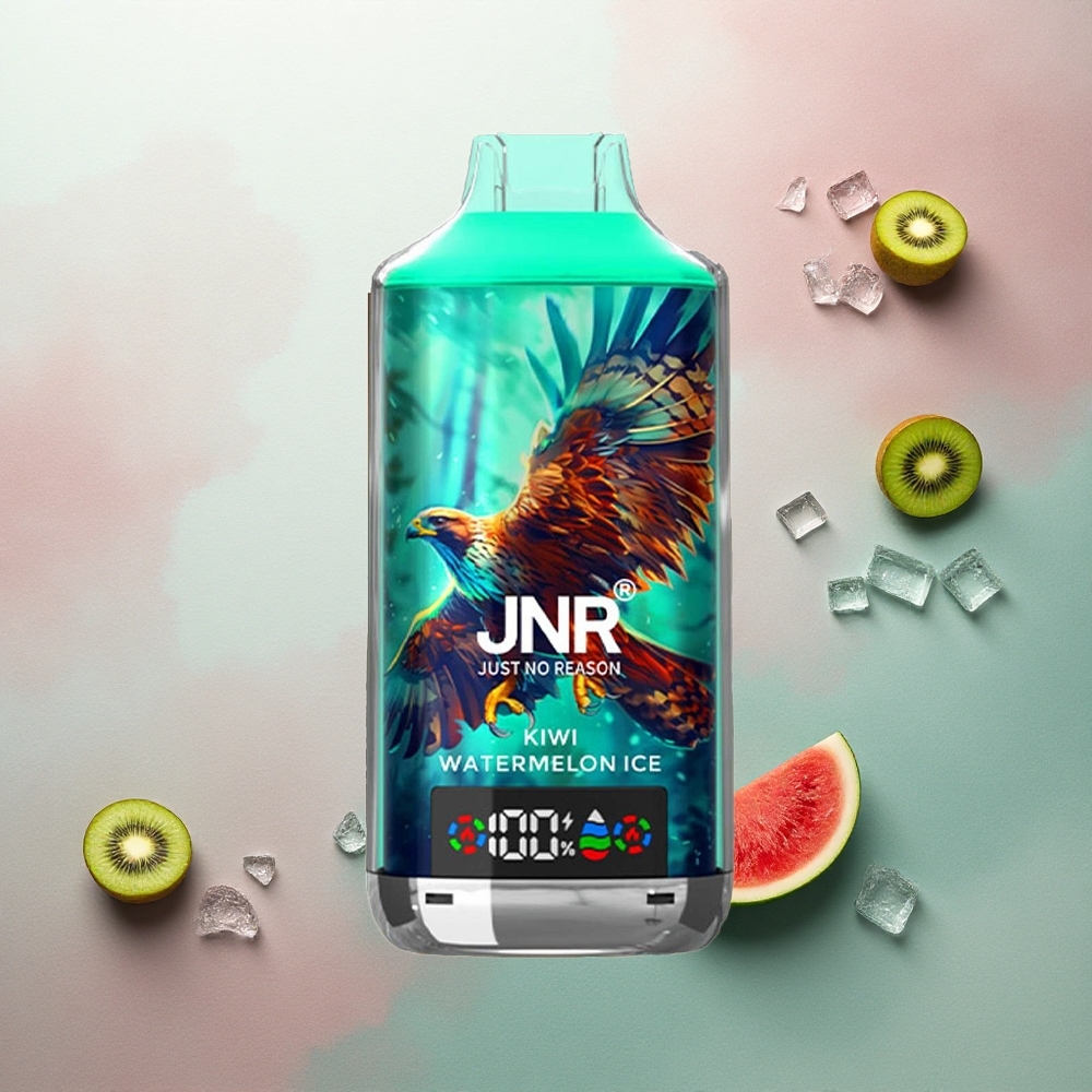 JNR Falcon X 18000 Kiwi Watermelon Ice 750mAh Dual Mesh 24ml