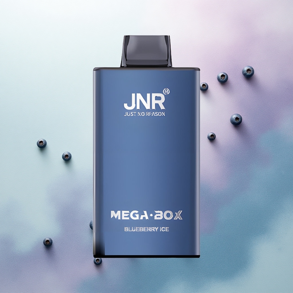 JNR Mega Box 25000 Blueberry Ice Dual Mesh 850mAh 2% Nicotine