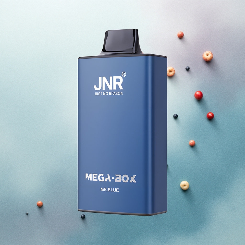 JNR Mega Box 25000 Mr Blue 30ml 850mAh Dual Mesh