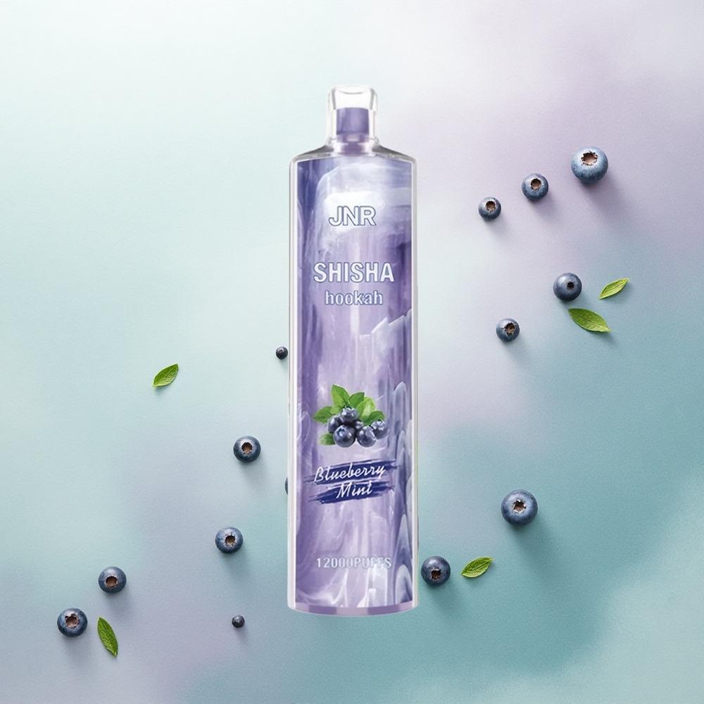 JNR Shisha Hookah 12000 Blueberry Mint 750mAh 24ml 0.6 Ohm
