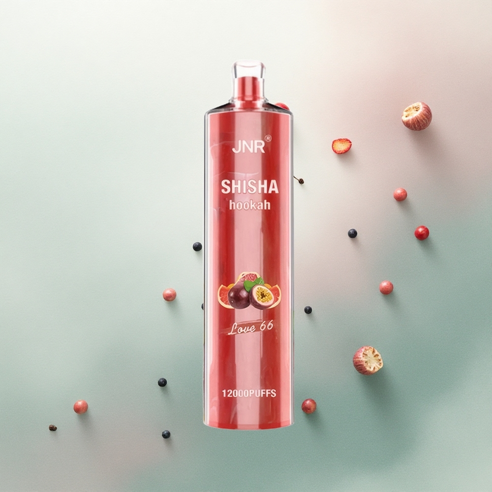 JNR Shisha Hookah 12000 Love 66 750mAh 24ml 0.6 Ohm