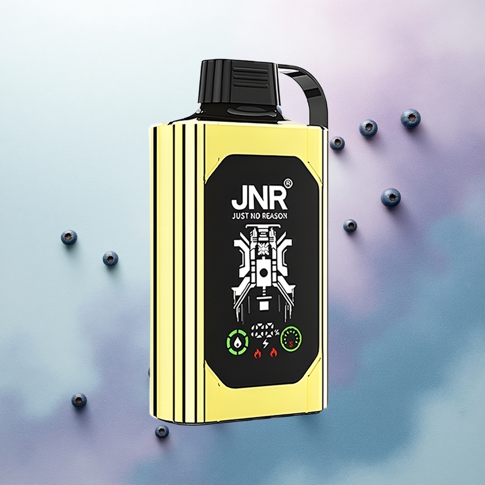 JNR Shisha Hookah Box 20500 Blueberry Ice 25ml Dual Mesh 1000mAh