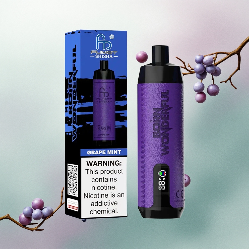 RandM Fumot Shisha 10000 Puffs Grape Mint 18ml 850mAh 0.5% Nicotine