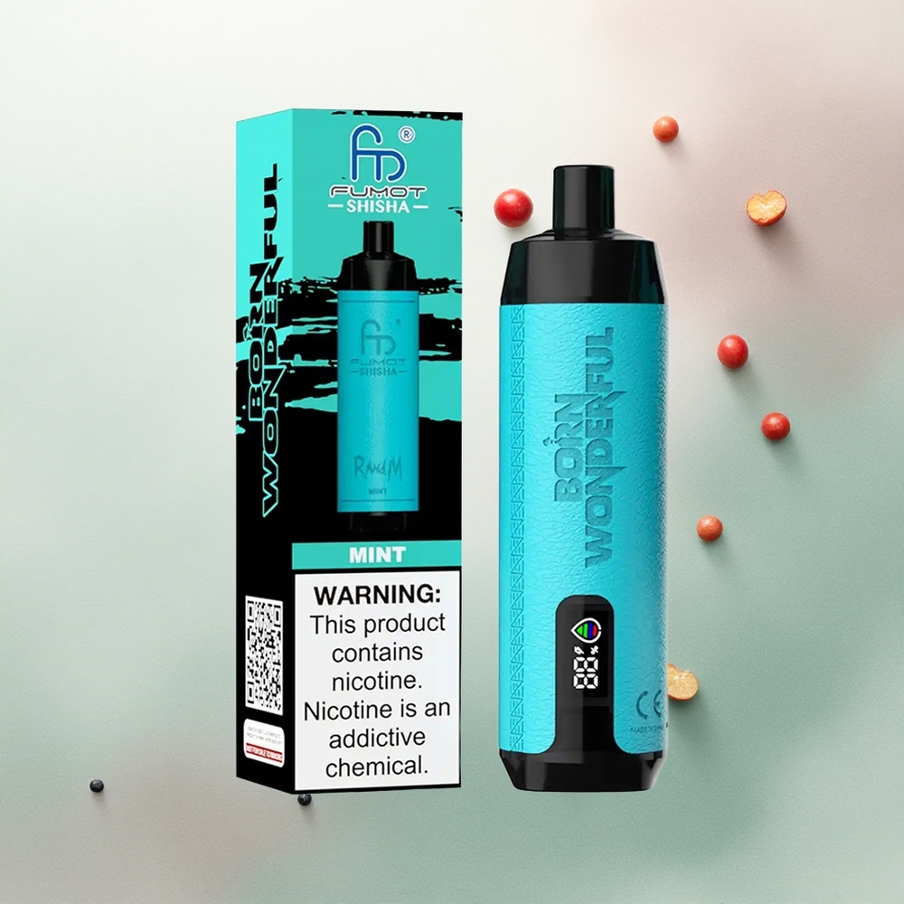 RandM Fumot Shisha 10000 Puffs Mint Shisha Disposable Vape with 18ml E-liquid and 850mAh Battery