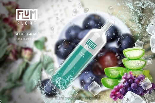 FLUM FLOAT 3000 PUFFS Aloe Grape - Flum Pebbles bulk BN54V2