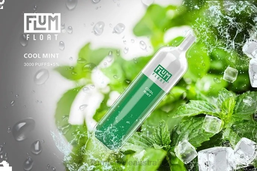 FLUM FLOAT 3000 PUFFS Cool Mint - Flum Pebbles flavors BN54V25