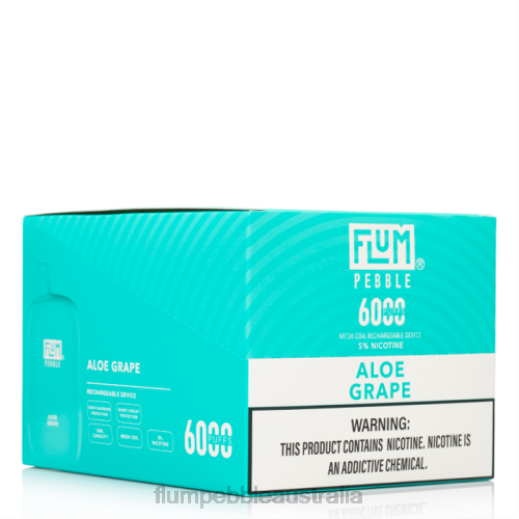 FLUM PEBBLES 6000 PUFFS 10 PACKS Aloe Grape - Flum Pebble Australia BN54V3