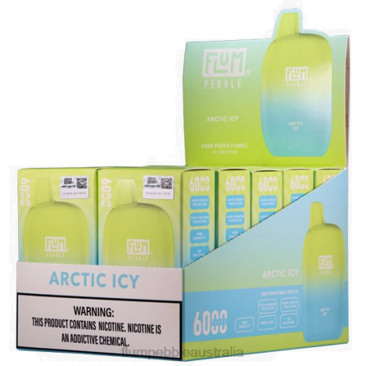 FLUM PEBBLES 6000 PUFFS 10 PACKS Artic Icy - Flum Pebbles near me BN54V6