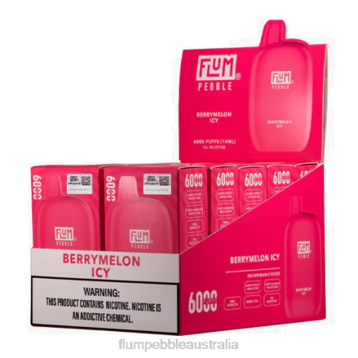 FLUM PEBBLES 6000 PUFFS 10 PACKS Berrymelon Icy - Flum Pebbles price BN54V8