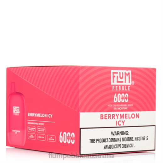 FLUM PEBBLES 6000 PUFFS 10 PACKS Berrymelon Icy - Flum Pebbles price BN54V8