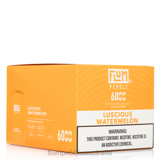 FLUM PEBBLES 6000 PUFFS 10 PACKS Luscious Watermelon - Flum float vape Australia BN54V51
