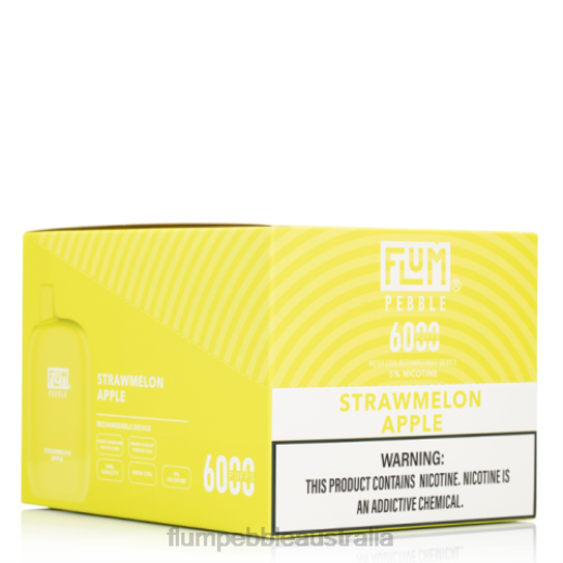 FLUM PEBBLES 6000 PUFFS 10 PACKS Strawmelon Apple - Flum Pebbles wholesale BN54V79