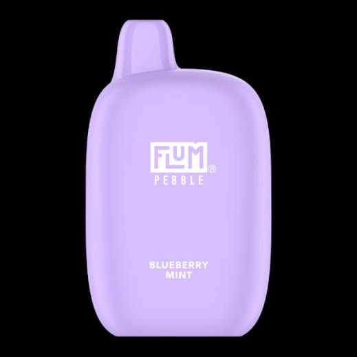 FLUM PEBBLES 6000 PUFFS Blueberry Mint - Flum Pebbles flavors list BN54V17