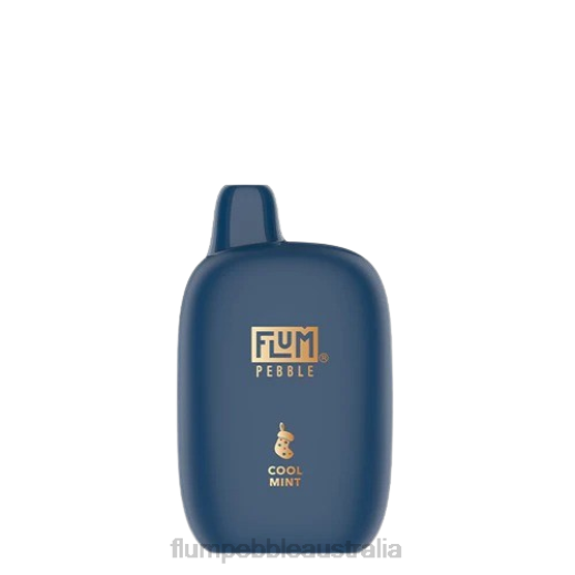 FLUM PEBBLES 6000 PUFFS (Christmas Edition) Cool Mint - Flum float Australia BN54V34