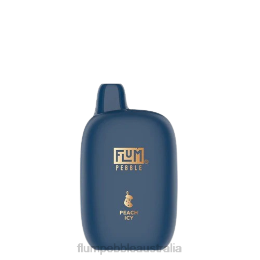 FLUM PEBBLES 6000 PUFFS (Christmas Edition) Peach Icy - Flum Pebbles Canberra BN54V40