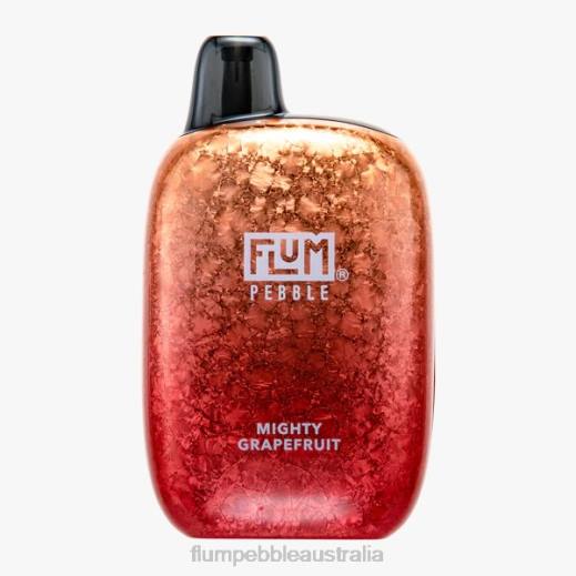 FLUM PEBBLES 6000 PUFFS Mighty Grapefruit - Flum Pebbles price BN54V38