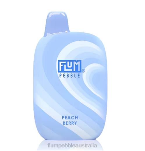 FLUM PEBBLES 6000 PUFFS Peach Berry - Flum Pebbles wholesale BN54V39