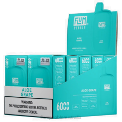 FLUM PEBBLES 6000 PUFFS 10 PACKS Aloe Grape - Flum Pebble Australia BN54V3