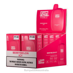 FLUM PEBBLES 6000 PUFFS 10 PACKS Berrymelon Icy - Flum Pebbles price BN54V8