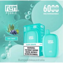 FLUM PEBBLES 6000 PUFFS Aloe Grape - Flum float vape Australia BN54V1