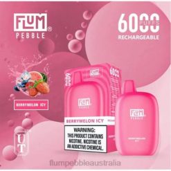 FLUM PEBBLES 6000 PUFFS Berrymelon Icy - Flum Pebbles flavors list BN54V7