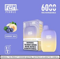 FLUM PEBBLES 6000 PUFFS Blueberry Melo - Flum Pebbles near me BN54V16