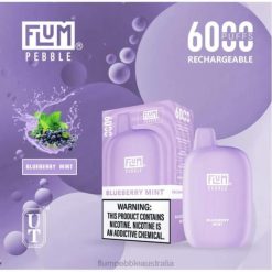 FLUM PEBBLES 6000 PUFFS Blueberry Mint - Flum Pebbles flavors list BN54V17