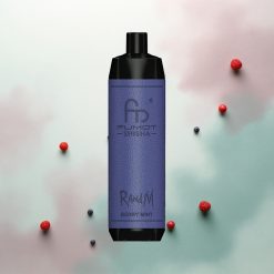 RandM Fumot Shisha 10000 Puffs Berry Mint LED Type-C 850mAh